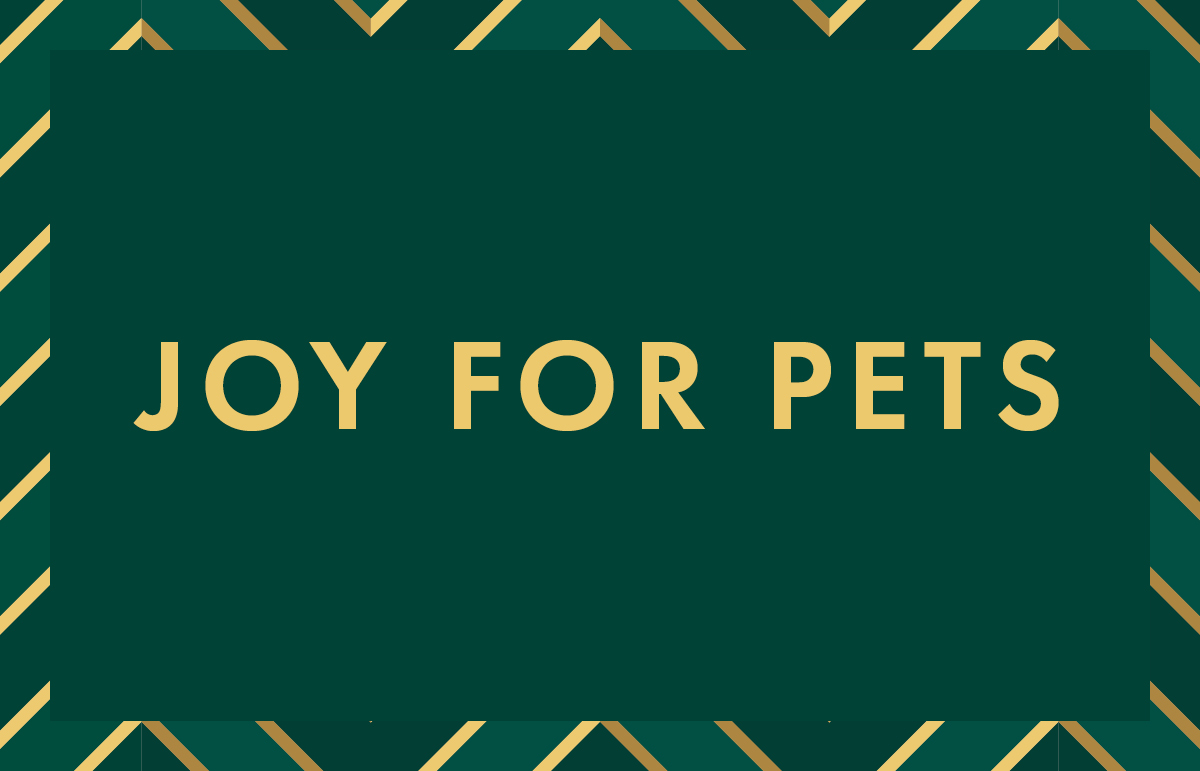 Christmas gift ideas for pets